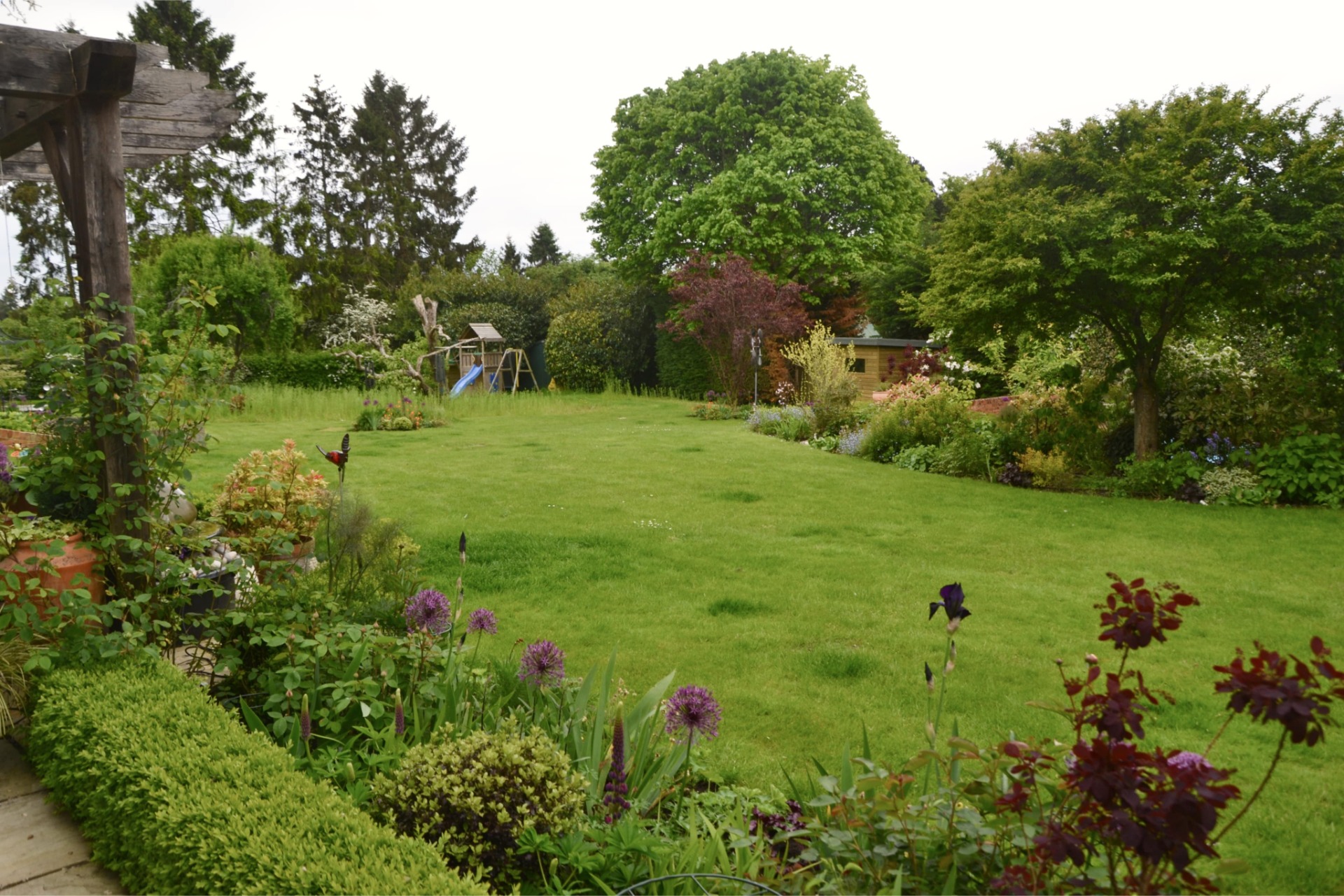 Green plants near Henley