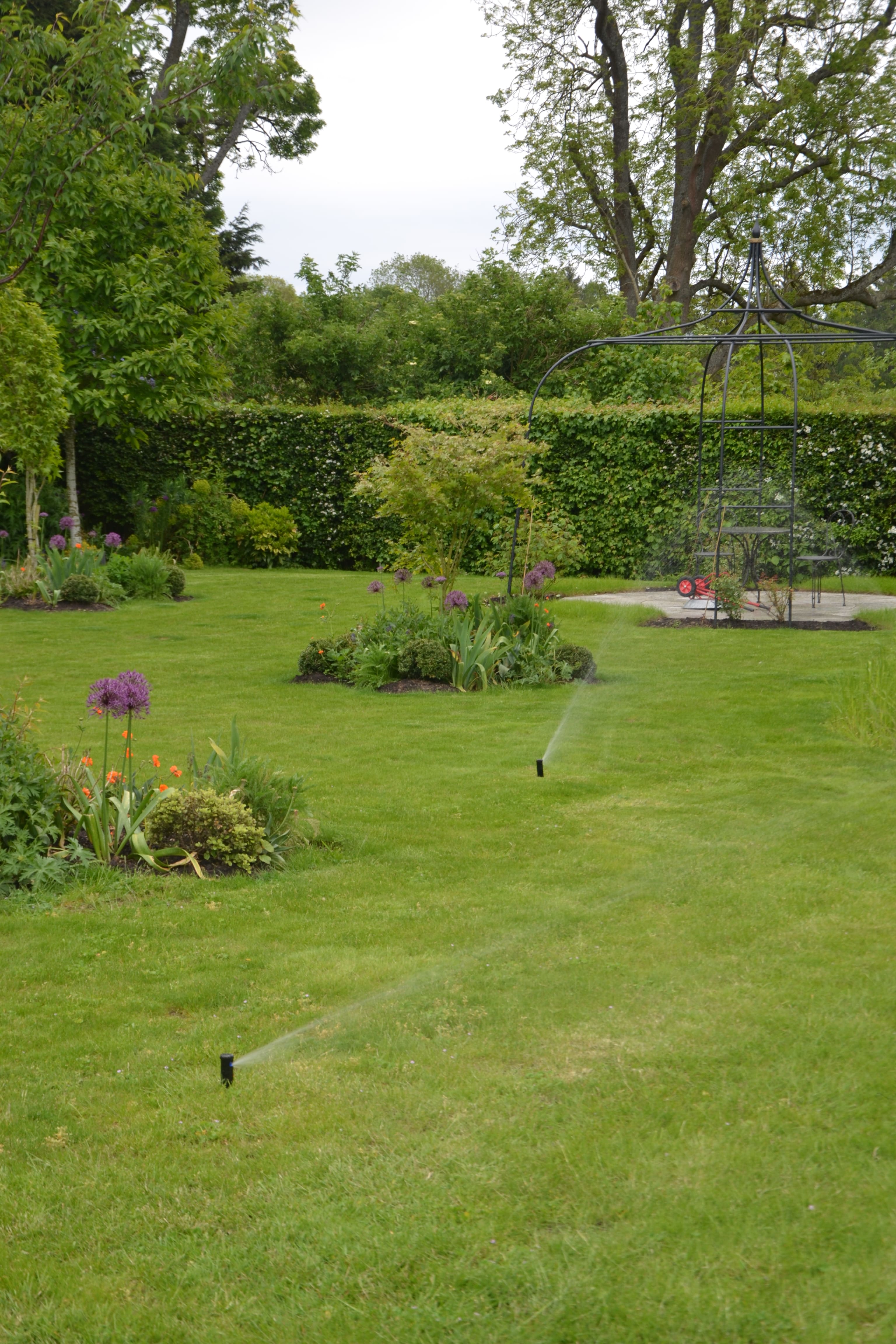 Healthy garden