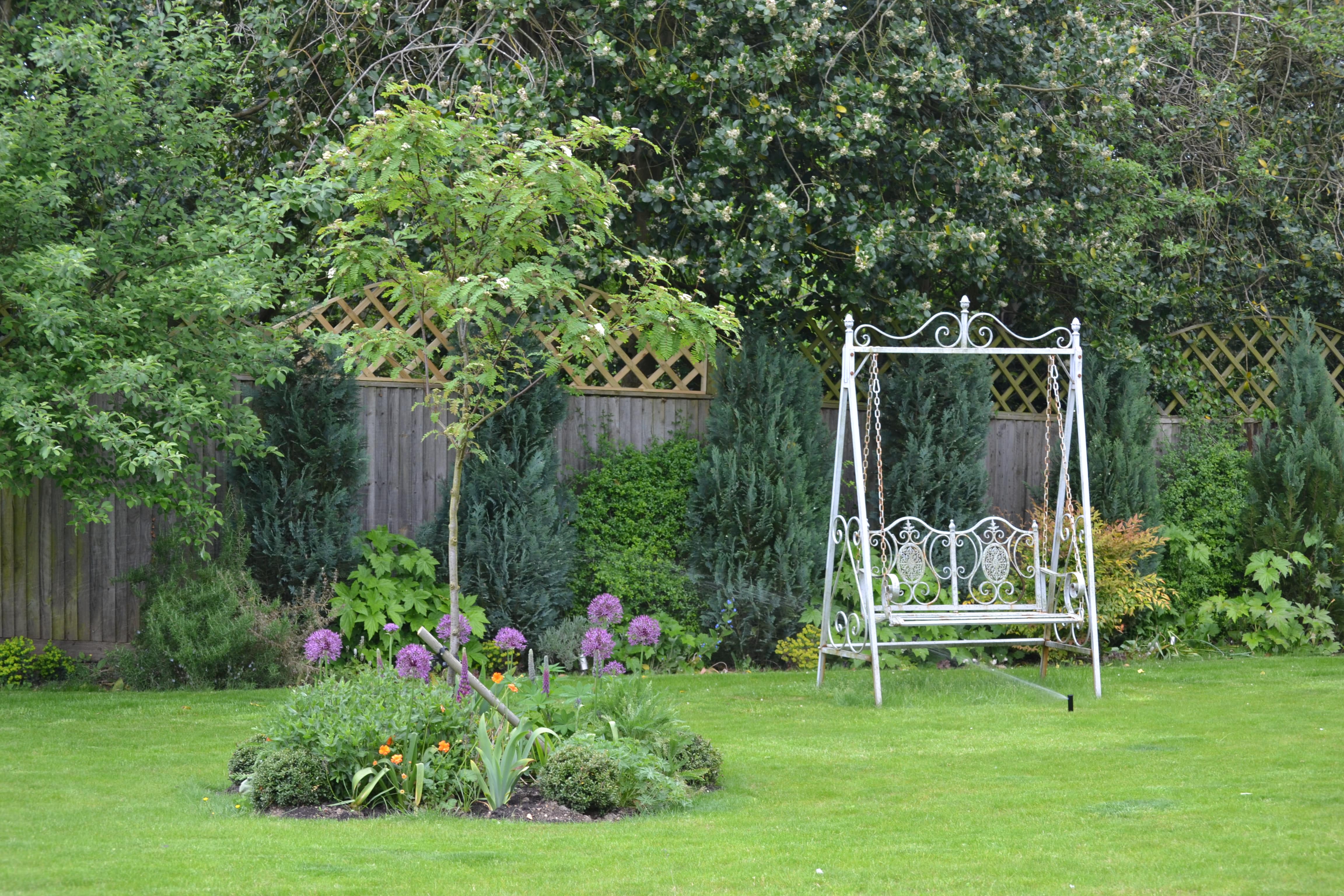 Healthy plants