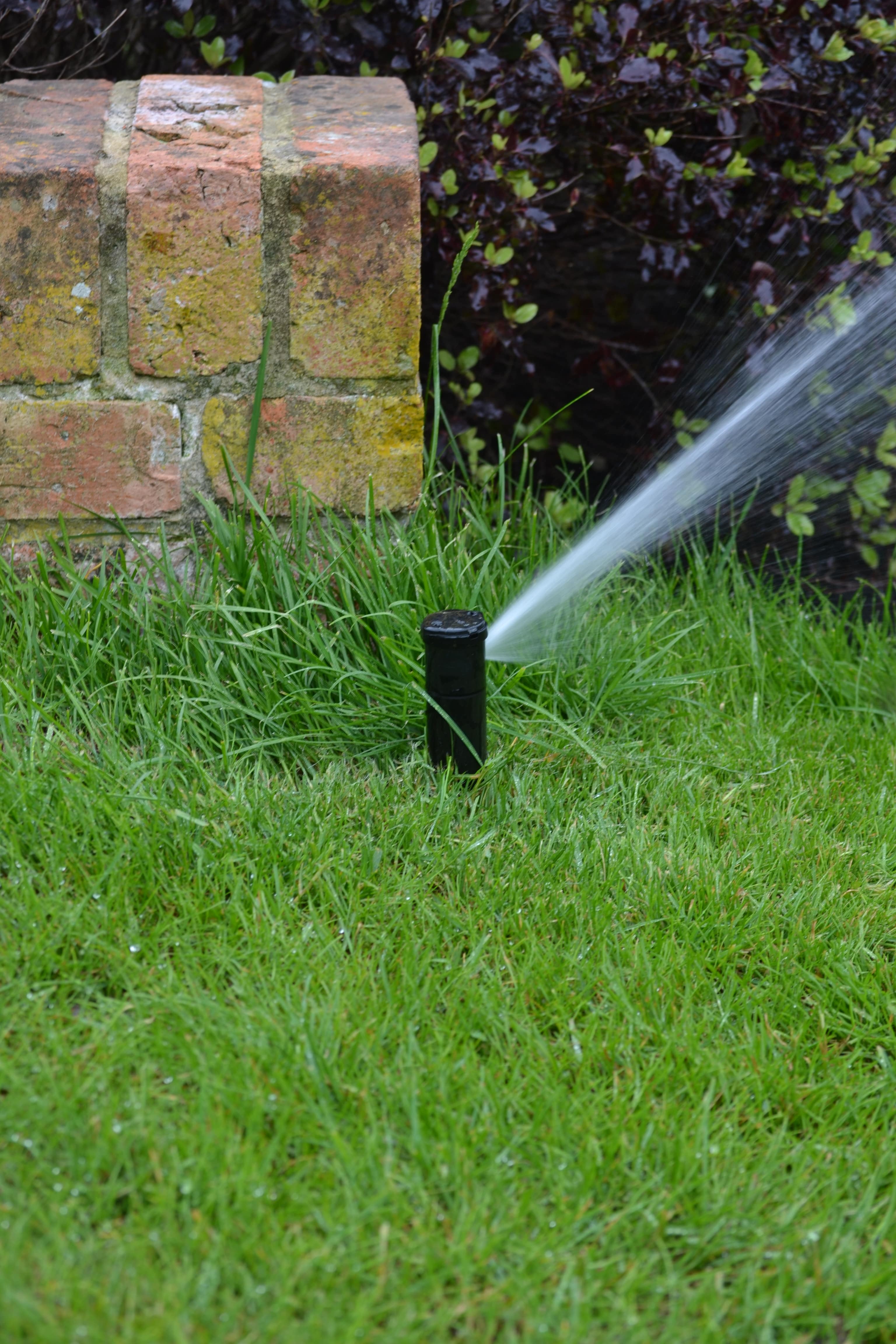 Timed lawn sprinkler system we installed near Oxford