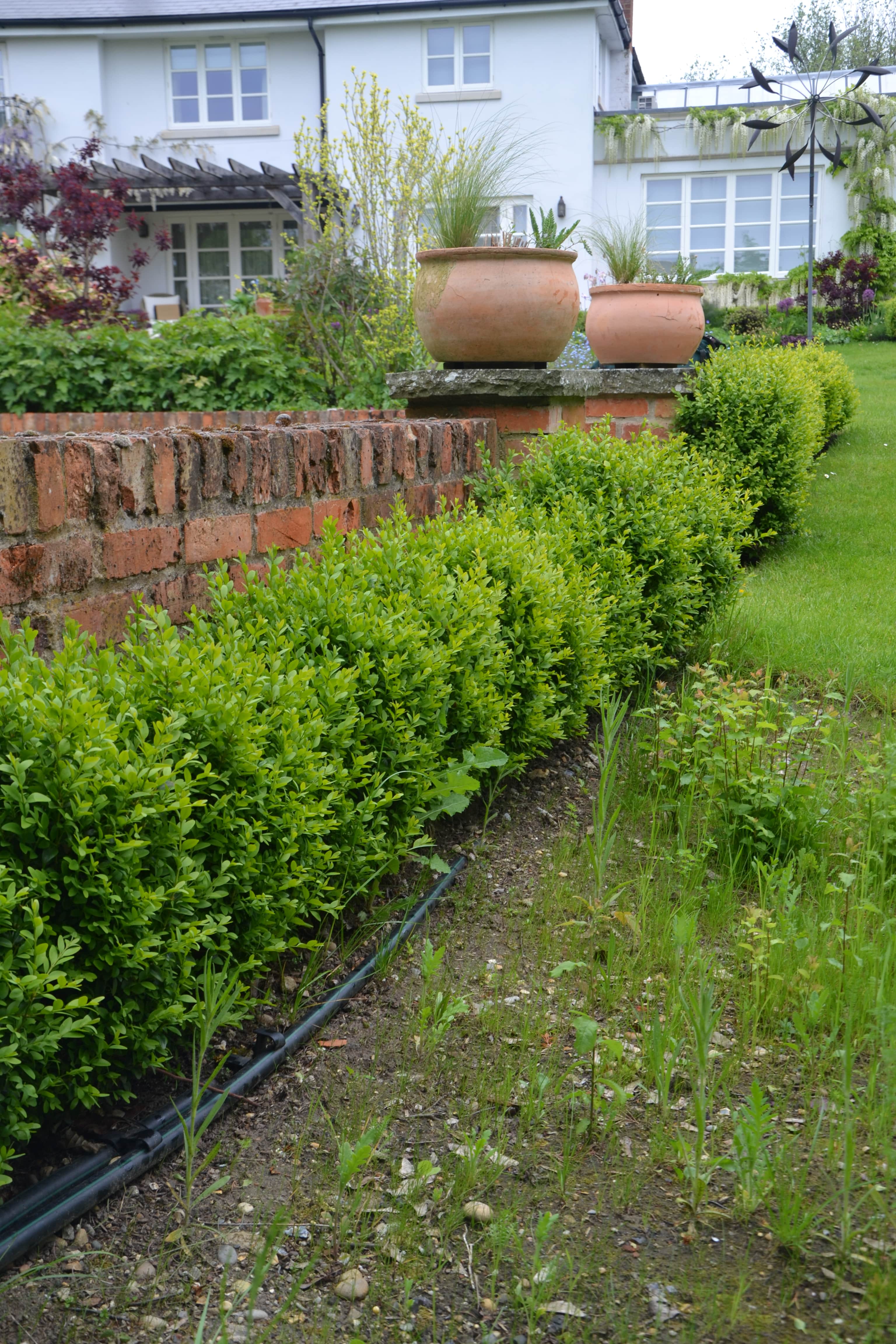 Maintained drip line for a medium-sized garden