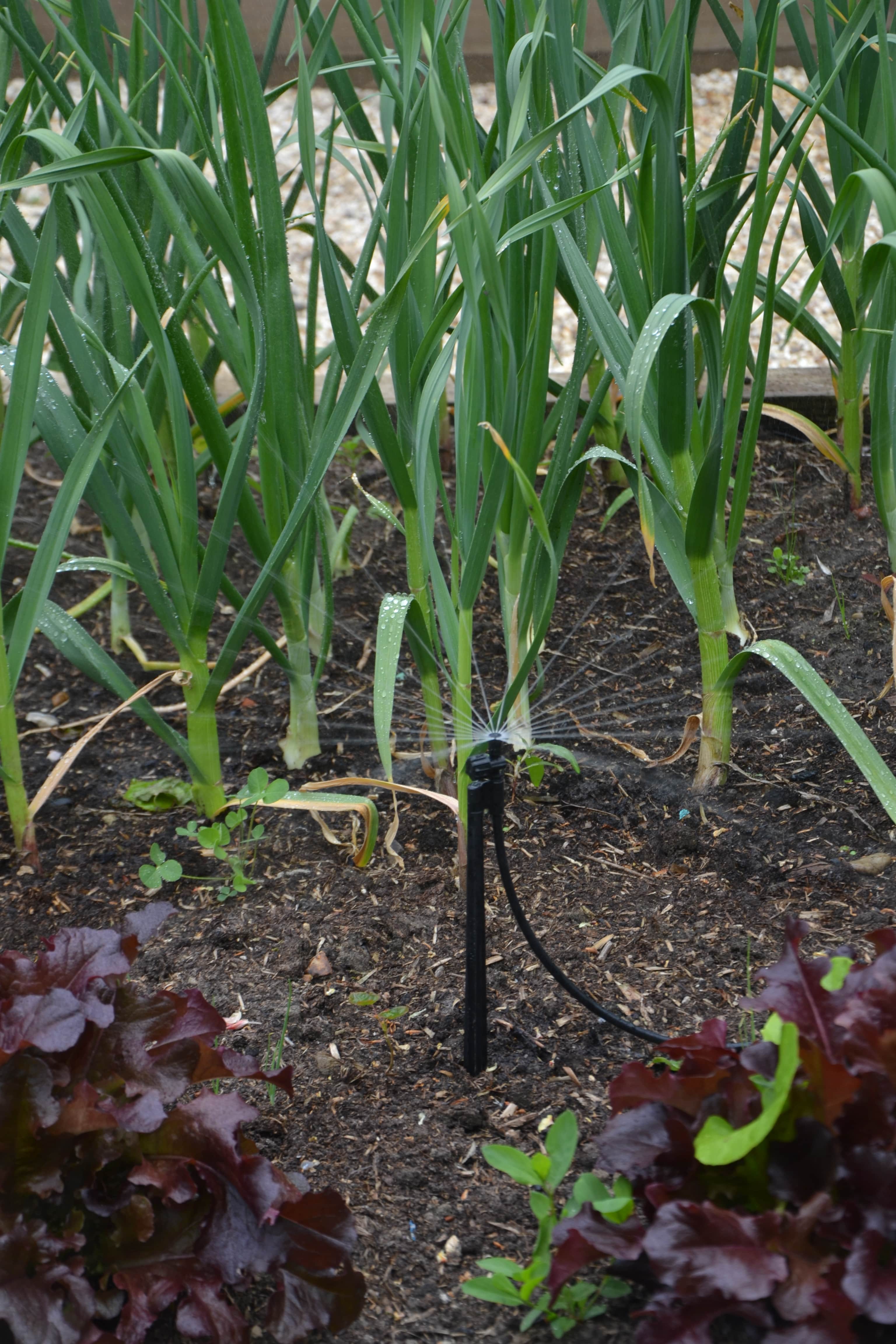 Flexible sprinkler for varied landscapes installed in Oxfordshire