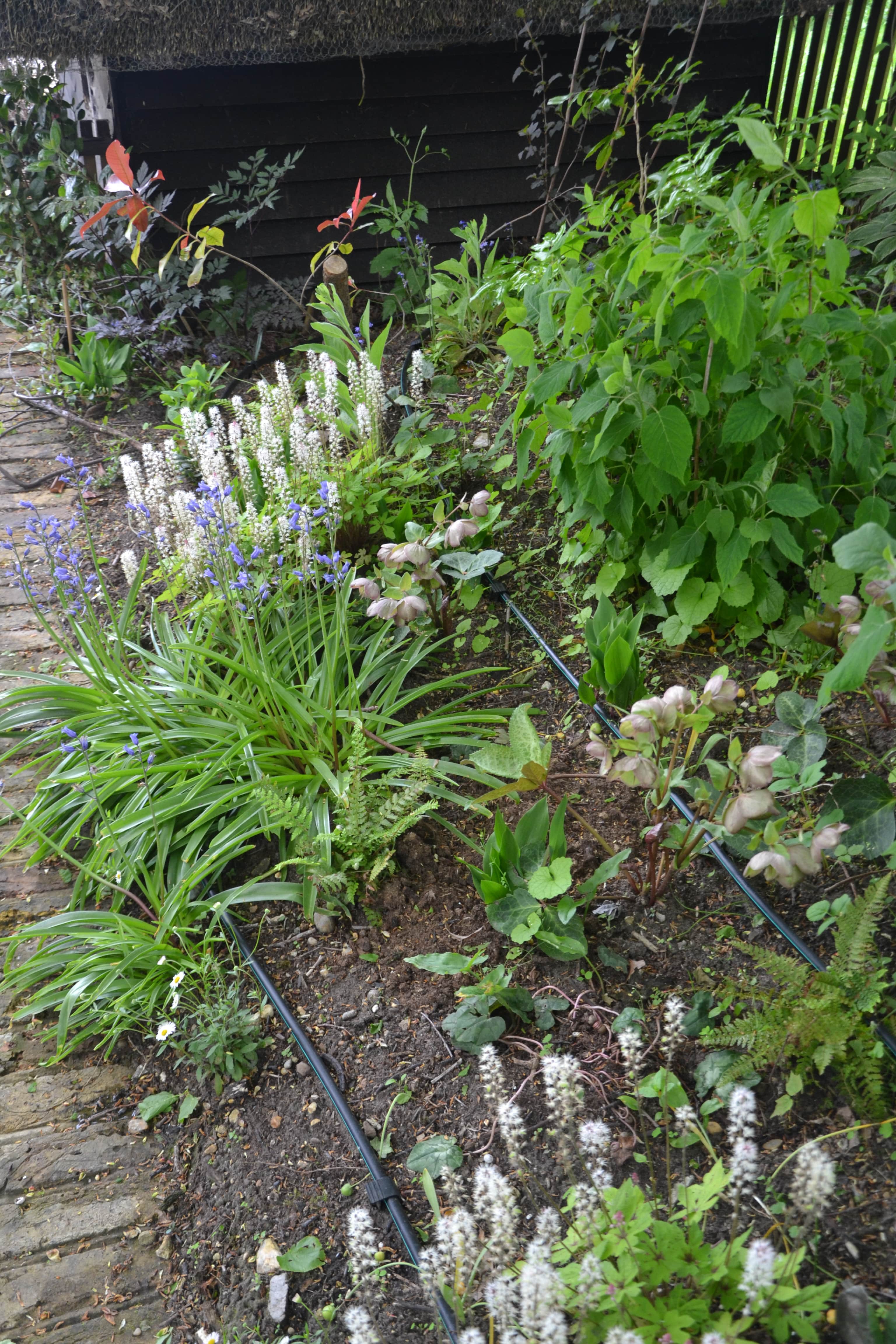 Drip irrigation services