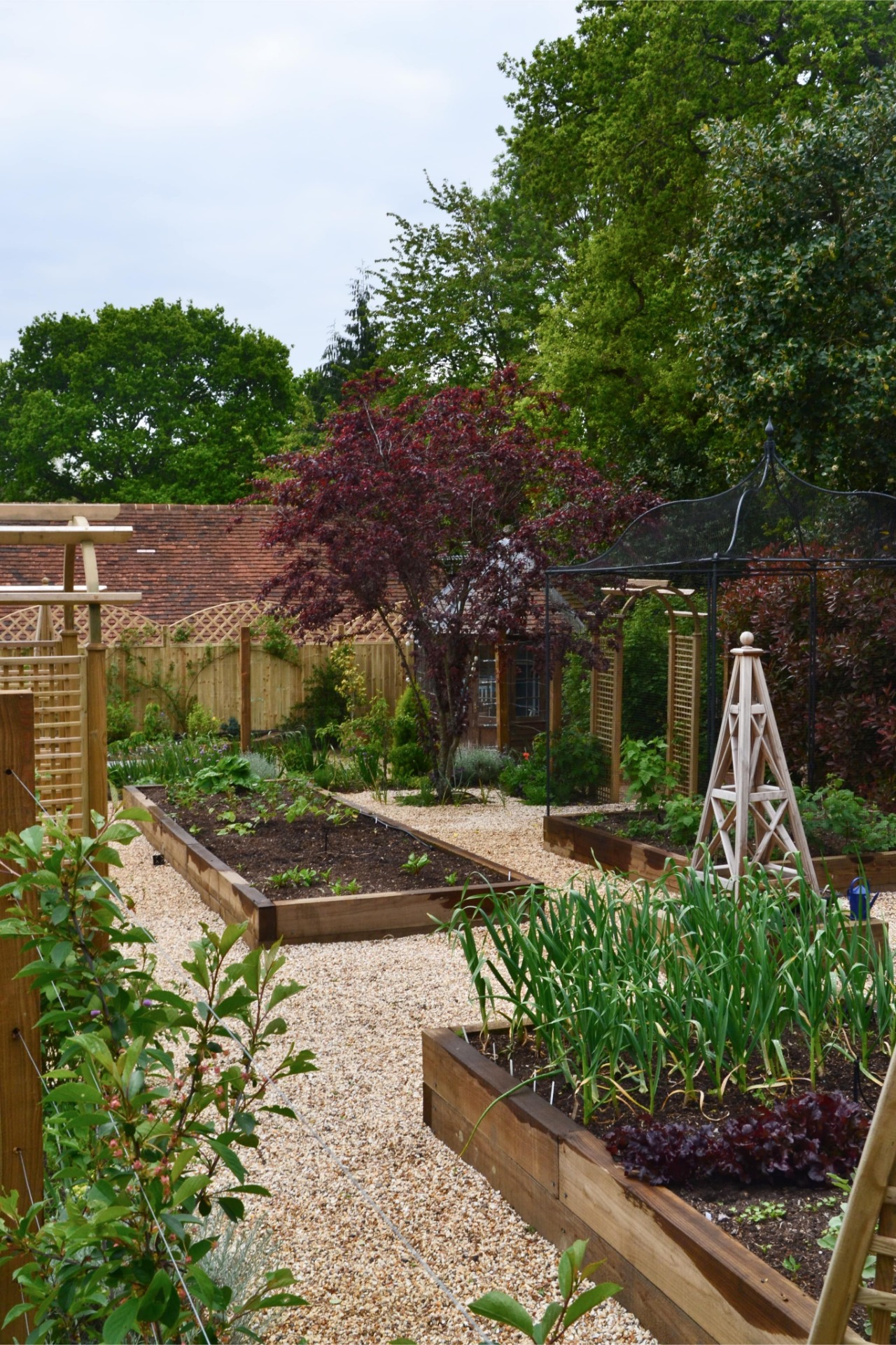 Vegetable patch