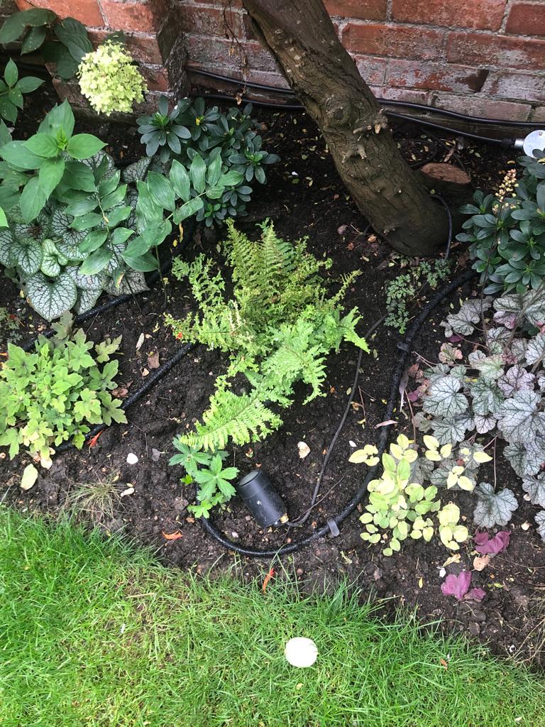 Drip line installation for small landscape